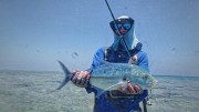 Bluefin trevally fly fishing Maldives 3